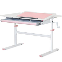 Парта Evo-kids TH-220 Pink (TH-220 W/PN)