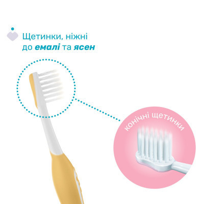Дитяча зубна щітка Chicco для перших зубів, 6-36 міс., 2 шт. (8058664174713) (12082.11)