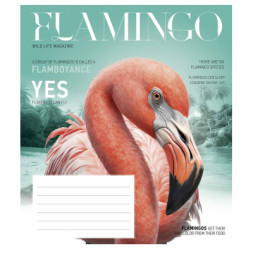 Зошит Школярик Fauna magazine 18 аркушів лінія (018-3428L)