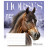 Зошит Школярик Fauna magazine 18 аркушів лінія (018-3428L)