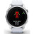 Смарт-годинник Garmin EPIX PRO (g2), 42, Glass, SS, Whitstn, GPS (010-02802-01)