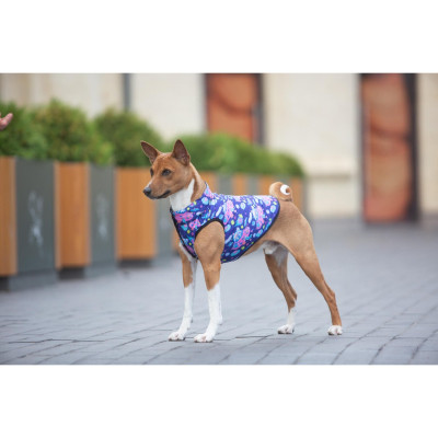 Курточка для тварин WAUDOG Clothes &quot;Рік і Морті 1&quot; XS22 (0922-0280)