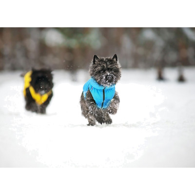 Курточка для тварин Collar AiryVest &quot;Colors of freedom&quot; L 65 (4450-4020)