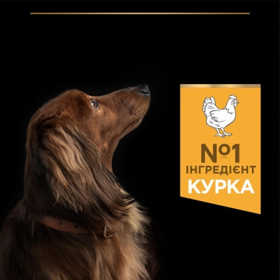 Сухий корм для собак Purina Pro Plan Dog Small&amp;Mini Adult з куркою і рисом 3 кг (7613035114920)