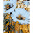 Картина по номерам Rosa Star Golden Flowers 2 35 х 45 см (4823098529859)
