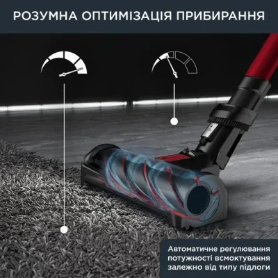 Пилосос Rowenta RH98A9WO
