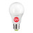 Лампочка Eurolamp LED ECO A60 12W E27 4000K 12-48V (LED-A60-12274(12-48V))