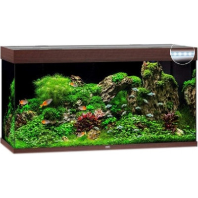 Акваріум Juwel Rio 350 LED 121х66х51 см 350 л прямий (коричневий) (4022573077506)