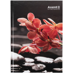 Книга записна Axent R&amp;B Flower А5, 96 аркушів, клітинка, тверда обкладинка (8457-7-A)