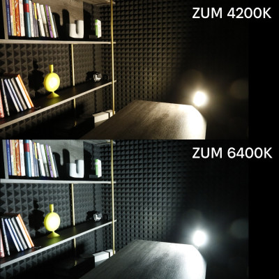Прожектор Євросвітло ZUM F02-100 4200K