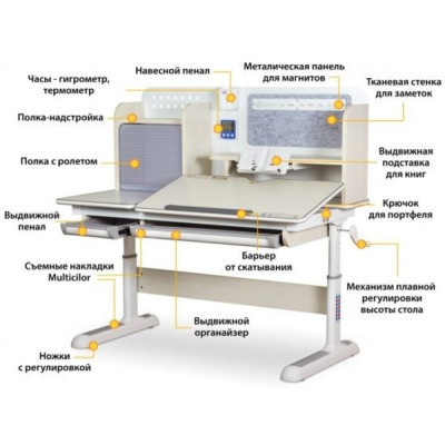 Парта Evo-kids Winnipeg Multicolor WG + PN (BD-630 WG + PN Multicolor)