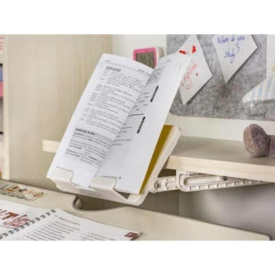 Парта Evo-kids Winnipeg Multicolor WG + PN (BD-630 WG + PN Multicolor)