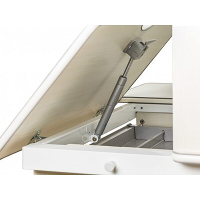 Парта Evo-kids Winnipeg Multicolor WG + PN (BD-630 WG + PN Multicolor)