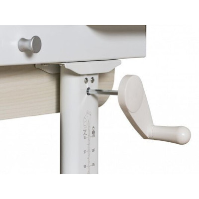 Парта Evo-kids Winnipeg Multicolor WG + PN (BD-630 WG + PN Multicolor)