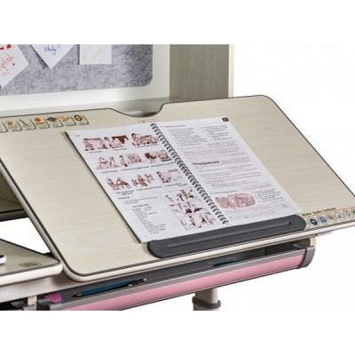 Парта Evo-kids Winnipeg Multicolor WG + PN (BD-630 WG + PN Multicolor)