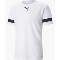 Футболка Puma teamRISE Jersey 704932-04 білий M (4063699212778)