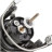 Котушка Shimano Nexave FI 2500S 3+1BB 5.01 (NEX2500SFI)