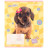 Зошит Kite Studio Pets, 12 аркушів, клітинка (SP25-232)