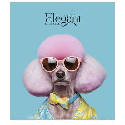 Зошит Школярик Elegant portrets 60 аркушів клітинка (060-3309K)