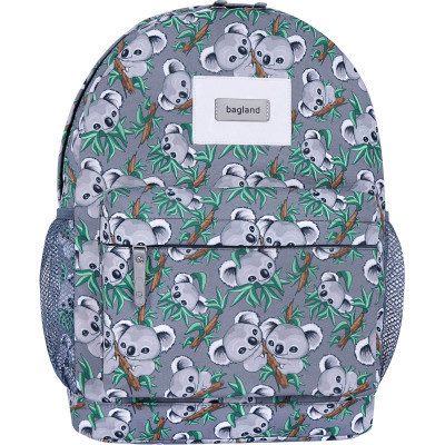Рюкзак школьный Bagland Молодежный 989 Cублимация 17 л (00533664) (637914635)