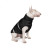 Жилет для тварин Pet Fashion &quot;Big Boss&quot; 4XL чорний (4823082423965)