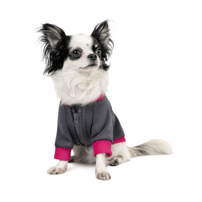 Толстовка для тварин Pet Fashion BIM XS2 (4823082430291)