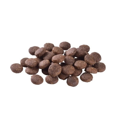Сухий корм для собак Brit Care Dog Grain-free Junior Large Breed для великих порід з лососем 3 кг (8595602558872)