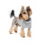 Светр для тварин Pet Fashion Sam XS сірий (4823082439249)
