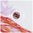 Валіза Semi Line 28&quot; L T5654-3 White/Red Print (DAS302890)