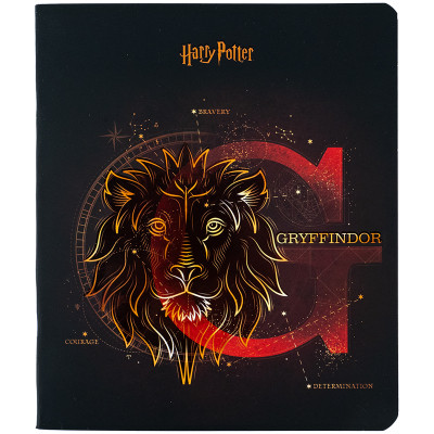 Зошит Kite Harry Potter 48 аркушів, клітинка (HP24-259)