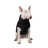 Жилет для тварин Pet Fashion &quot;Big Boss&quot; 5XL чорний (4823082423958)