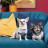 Футболка для тварин Pet Fashion Flora М біла з квітковим принтом (4823082441471)