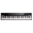 Цифрове піаніно Alesis Concert