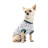 Футболка для тварин Pet Fashion Flora L біла з квітковим принтом (4823082441457)