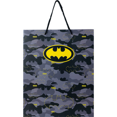 Подарунковий пакет Kite паперовий DC Comics 26х32 см (DC24-266)