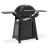Гриль-барбекю Weber Q3200N Black (1501126)