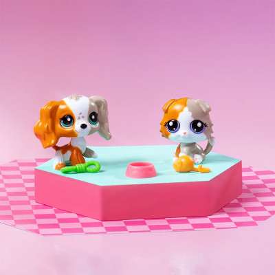 Ігровий набір Littlest Pet Shop Друзі-двійники (00626)