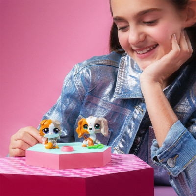 Ігровий набір Littlest Pet Shop Друзі-двійники (00626)