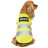Жилет для тварин Pet Fashion &quot;Yellow Vest&quot; М (4823082417193)