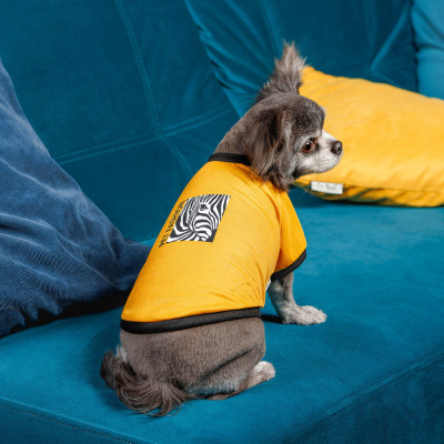 Футболка для тварин Pet Fashion Jessica L жовта (4823082441280)