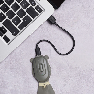 Закладки для книг Flexilight ліхтарик Rechargeable - Пірат (FLRPPI)
