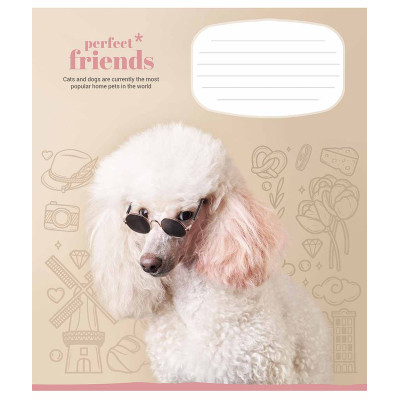 Зошит Школярик Perfect friends 12 аркушів клітинка (012-3250K)