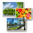 Фотопапір ColorWay 10x15 180г glossy, 100с (PG1801004R)