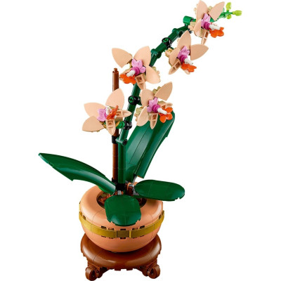 Конструктор LEGO Botanicals Міні орхідея (10343)