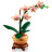 Конструктор LEGO Botanicals Міні орхідея (10343)