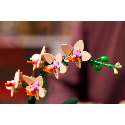 Конструктор LEGO Botanicals Міні орхідея (10343)