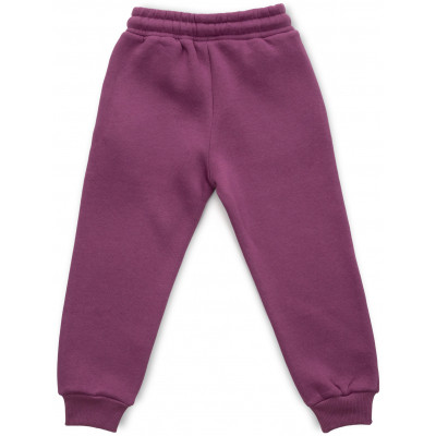 Штани дитячі Cloise спортивні на флісі (CL0154012-152G-purple)