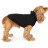 Жилет для тварин Pet Fashion &quot;Warm Yellow Vest&quot; XS (4823082417216)