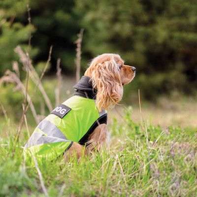 Жилет для тварин Pet Fashion &quot;Warm Yellow Vest&quot; XS (4823082417216)