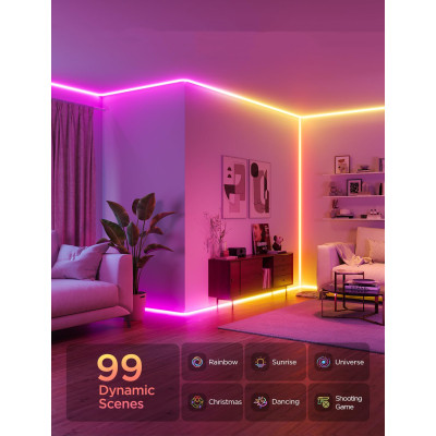 Світлодіодна стрічка Govee H6641 Neon Rope Light for Wall Lining, 5.0m, RGBIC, WI-FI/Bluetooth, white (H66413D1)